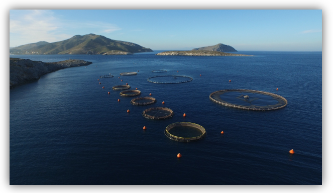 aquaculture chains