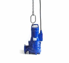 Stainless Steel Pump Lifting Chain